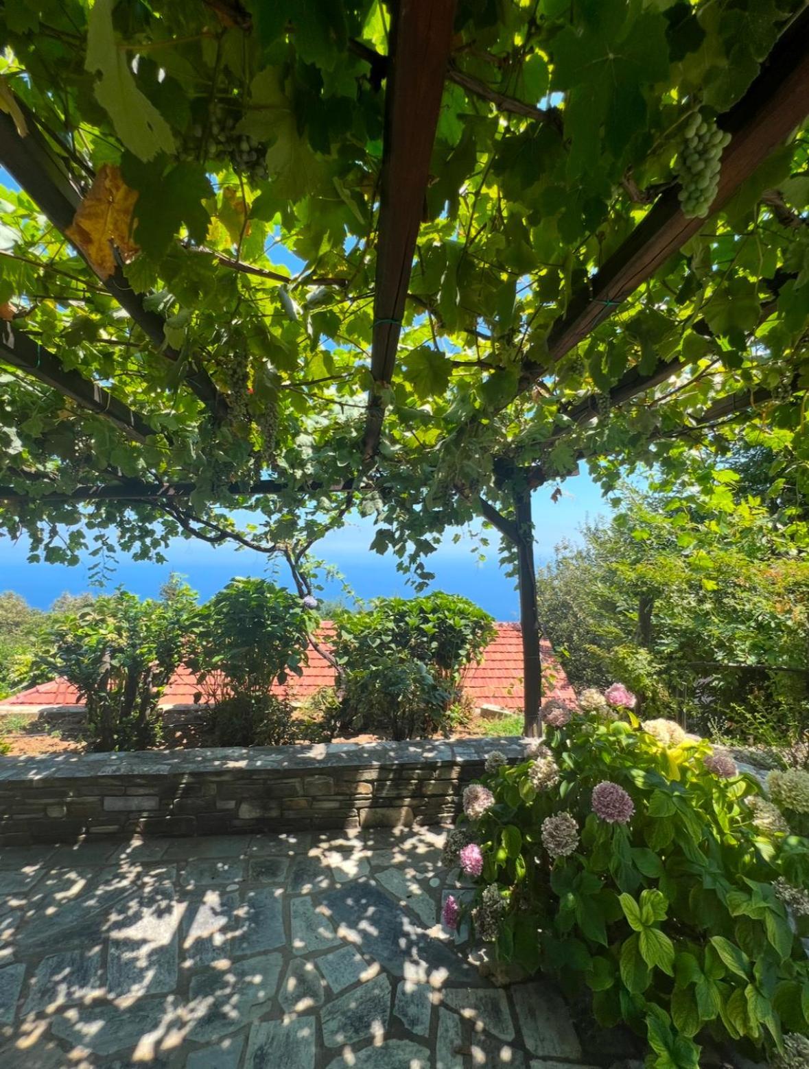 Áyios Dhimítrios Om Living Pelion 아파트 외부 사진